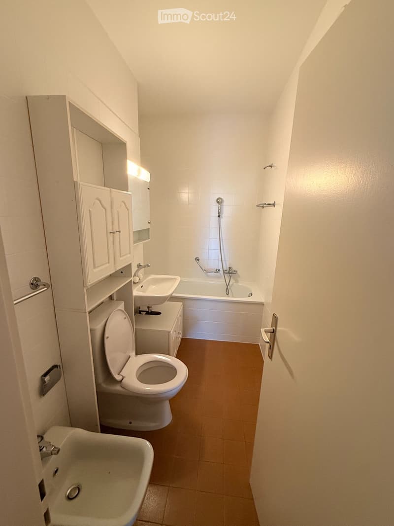 Ampio 2.5 locali con terrazza Vista Lago e Posteggio Incluso (9)
