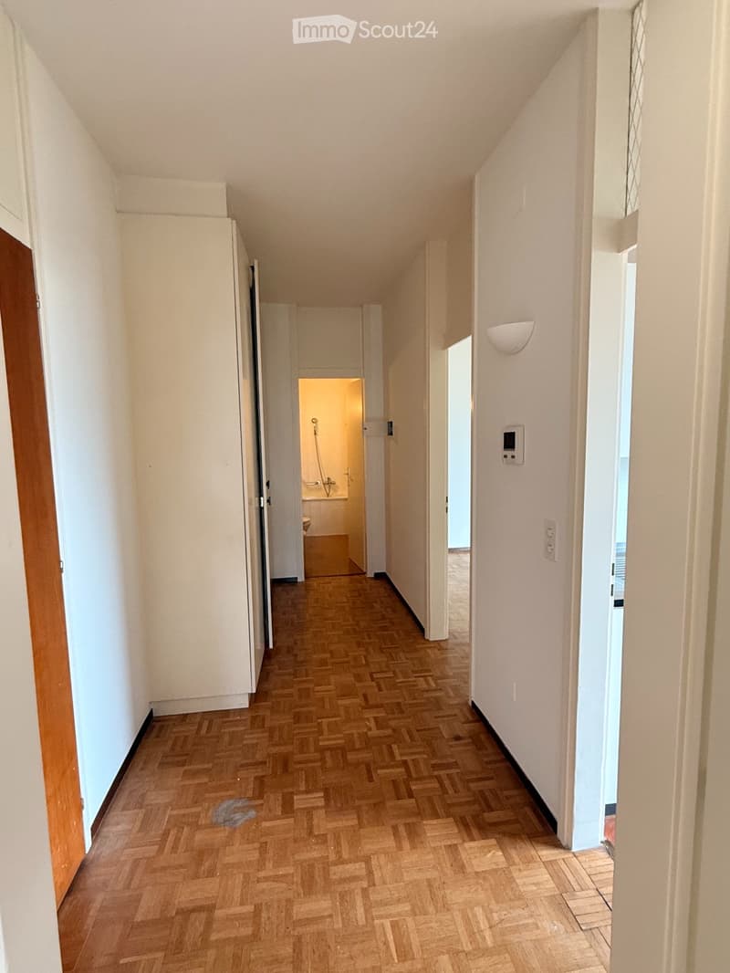 Ampio 2.5 locali con terrazza Vista Lago e Posteggio Incluso (6)
