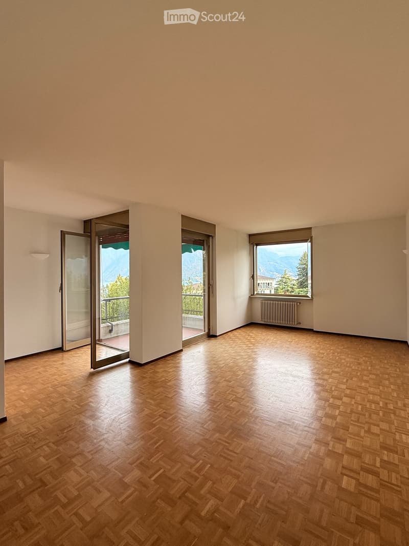 Ampio 2.5 locali con terrazza Vista Lago e Posteggio Incluso (2)