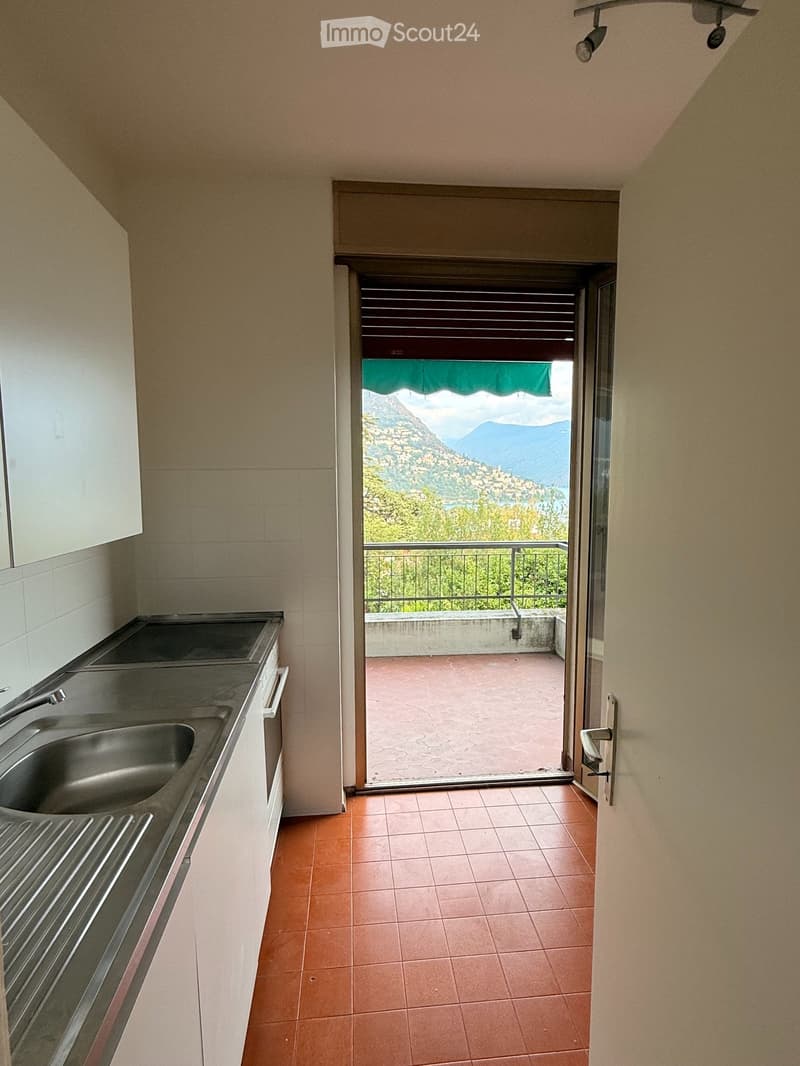 Ampio 2.5 locali con terrazza Vista Lago e Posteggio Incluso (5)