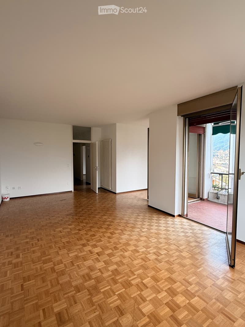 Ampio 2.5 locali con terrazza Vista Lago e Posteggio Incluso (3)