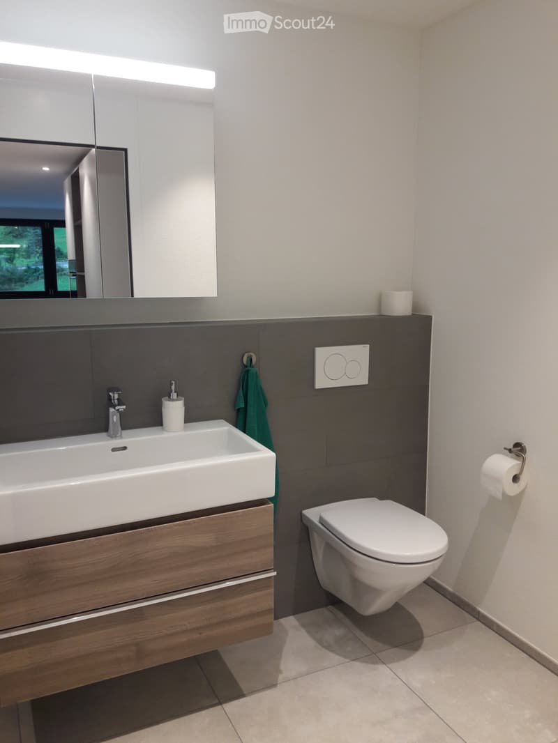 Modernes 1.5-Zimmer-Studio, 49 m2, möbliert - Ennetbaden (4)