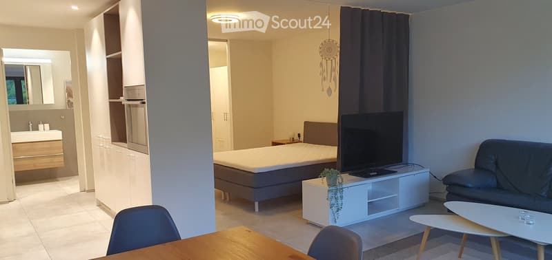 Modernes 1.5-Zimmer-Studio, 49 m2, möbliert - Ennetbaden (2)