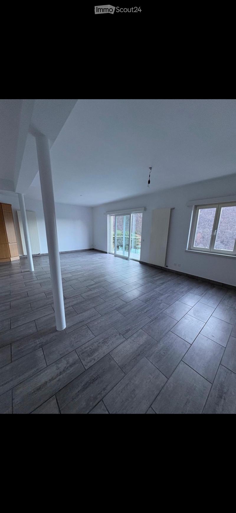 Appartamento duplex 180m2(Giubiasco-Pianezzo) (1)