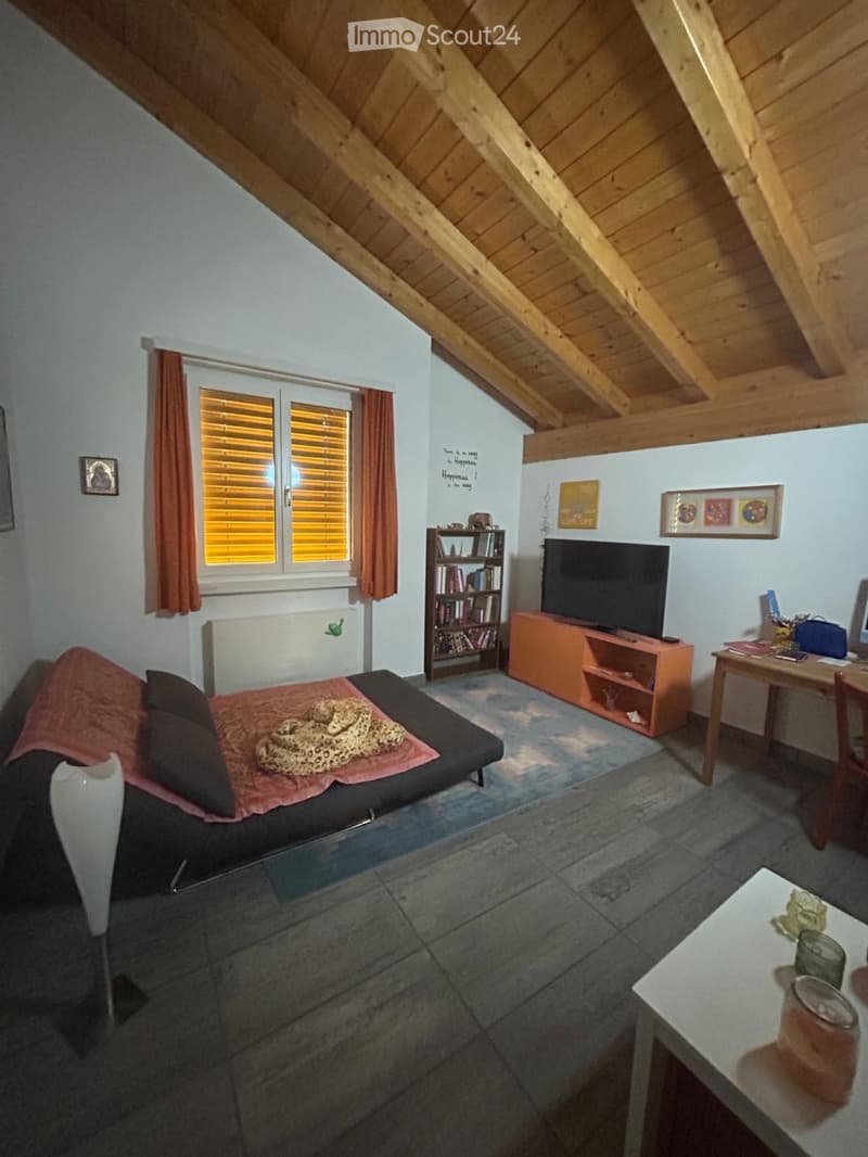 Appartamento duplex 180m2(Giubiasco-Pianezzo) (4)
