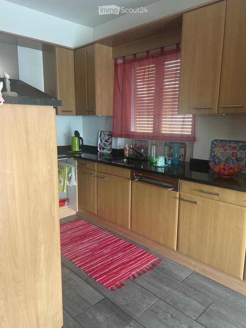Appartamento duplex 180m2(Giubiasco-Pianezzo) (3)