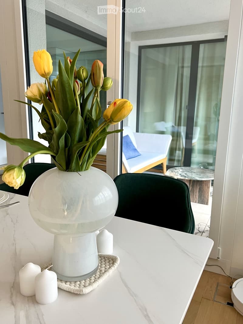 Möbelierte Wohnung mit Balkon und Ausstattung Zentral (2)