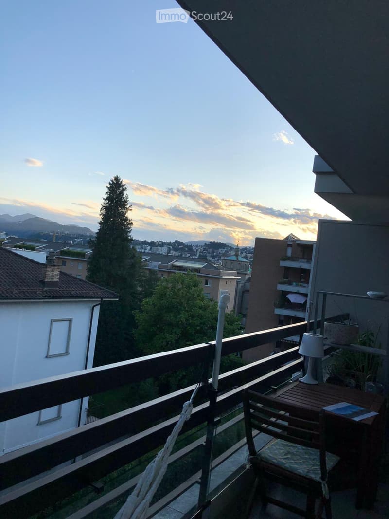 Appartamento 2 stanze Viganello con vista aperta (3)