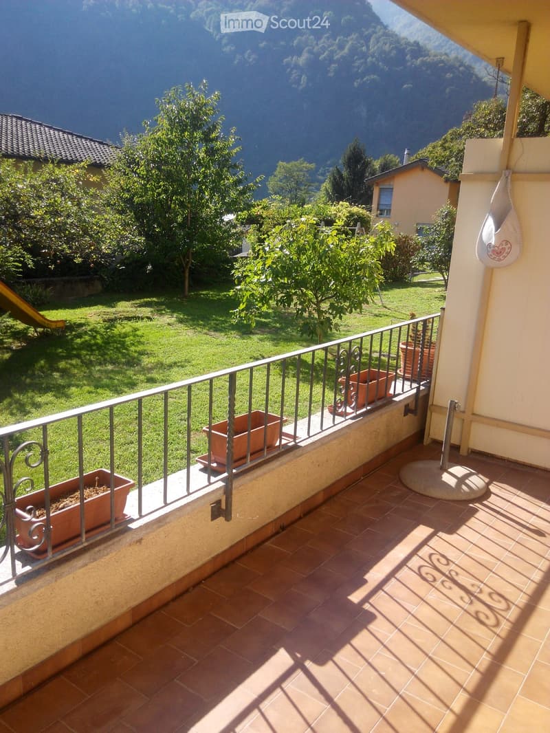 Appartamento nel verde a soli 5 minuti da Locarno (2)