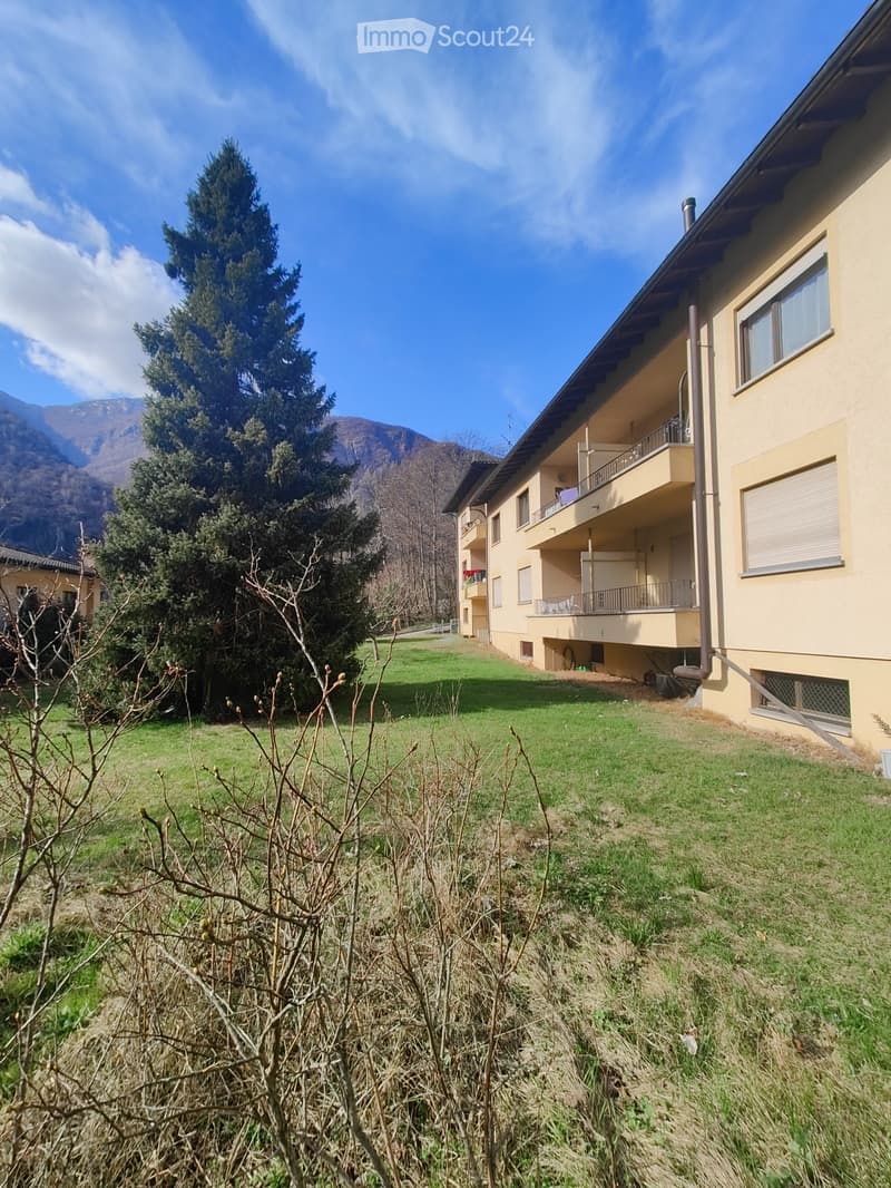 Appartamento nel verde a soli 5 minuti da Locarno (1)