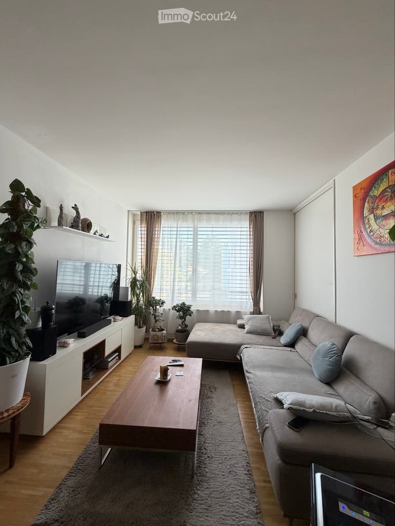 Aarau Wohnung 2.5 zum Mieten (1)