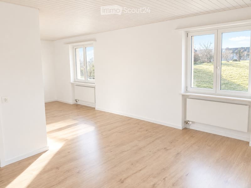 Freistehendes Einfamilienhaus mit grosszügigem Umschwung (4)