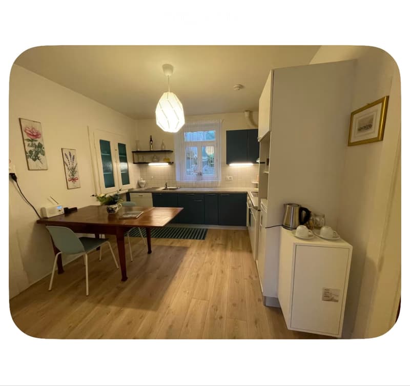 Appartamento Locarno (5)