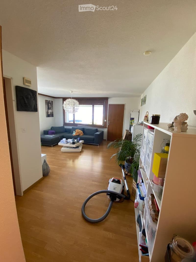 Schöne 2,5-Zimmer-Parterre-Wohnung zu vermieten (3)