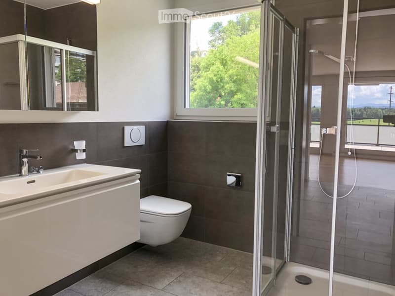 Moderne 4.5 Zimmer Wohnung mit eigener Terrasse (4)
