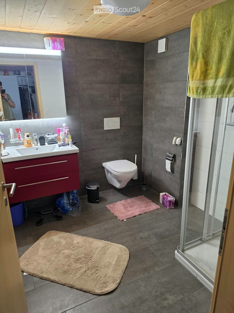 Schöne 2.5 Zimmer Wohnunh (4)