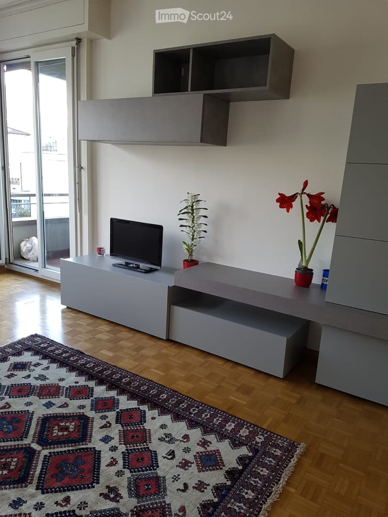 Affitto appartamento 2.5 Lugano (3)