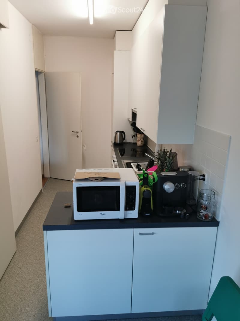 Affitto appartamento 2.5 Lugano (4)