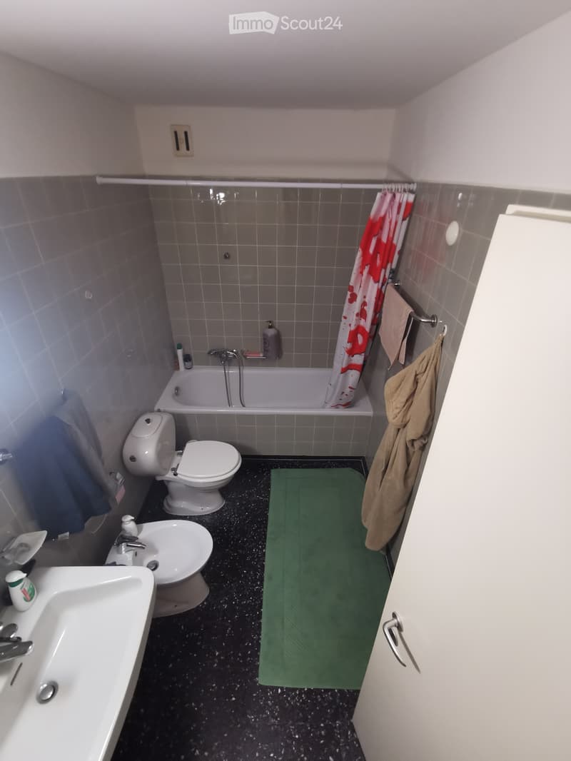 Affitto appartamento 2.5 Lugano (5)