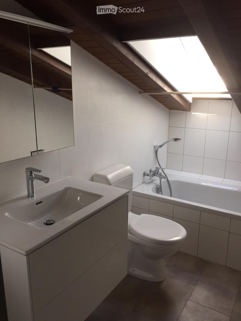 Grosszügige 3.5-Zimmer-Dachwohnung (4)