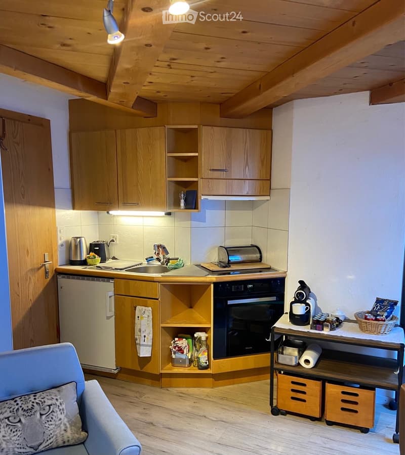 Helle 1-Zimmer-Wohnung mit Schlafgalerie & Balkon möbliert (1)