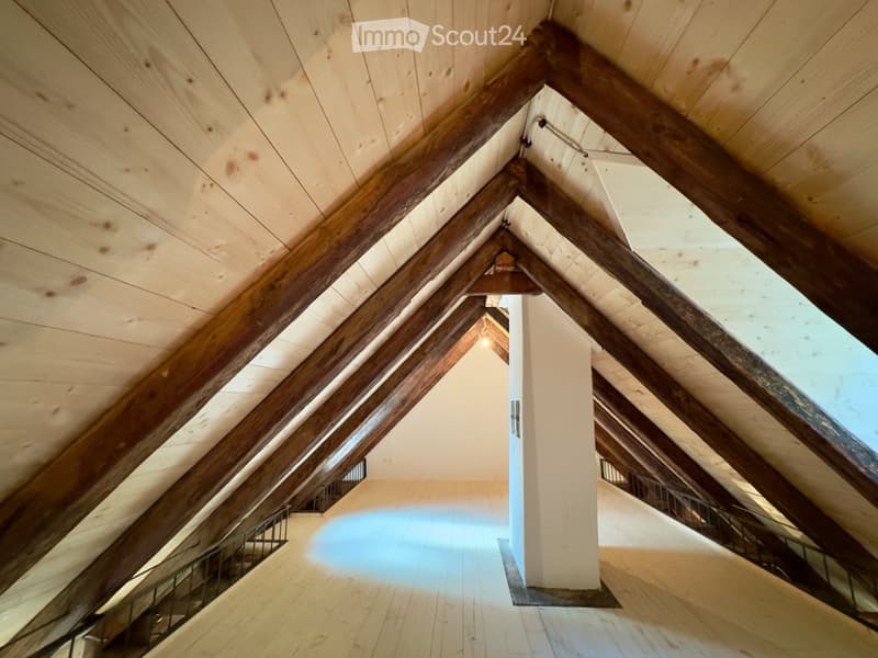 Erstbezug Dachwohnung Loft mit Galerie (3)