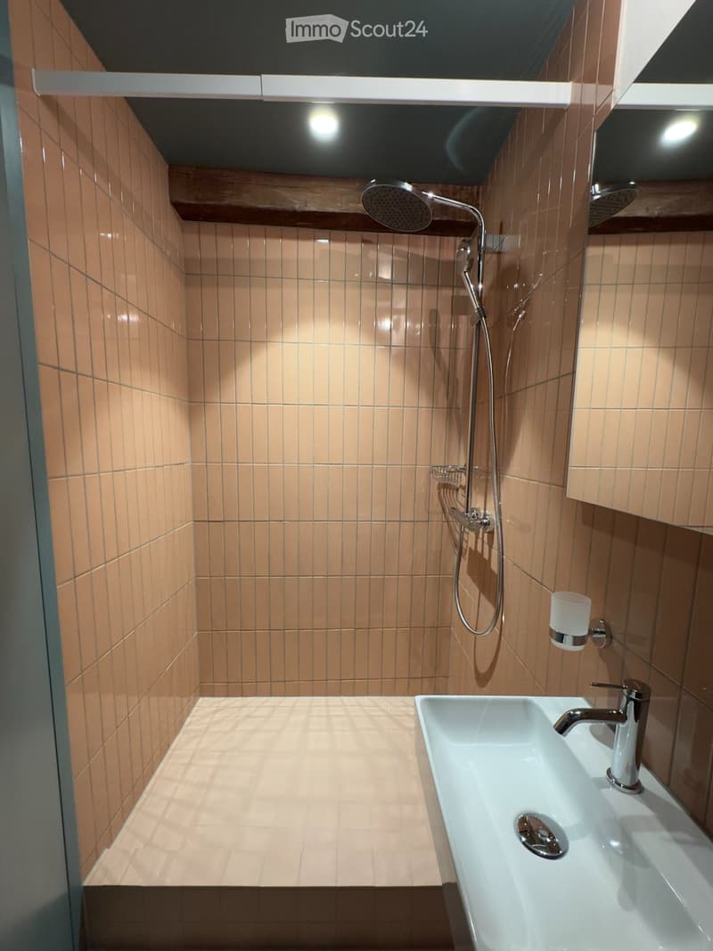 Erstbezug Dachwohnung Loft mit Galerie (5)