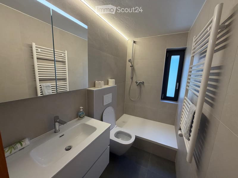 Appartement 3.5 pièces avec balcon à louer à Evolène (3)