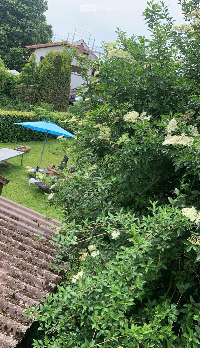 Ruhige & gemütliche Dachwohnung in naturnaher Lage, nahe BE (5)