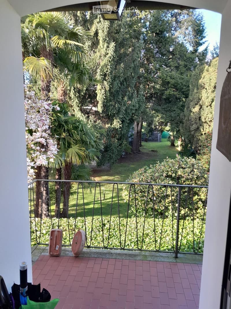 Ascona appartamento spazioso e luminoso in zona tranquilla (1)