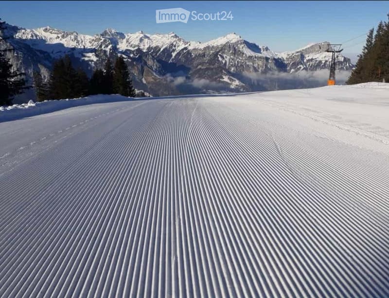 Zu vermieten zwei 3.5 Zimmerwohnungen Eggberge, Altdorf, Uri (3)