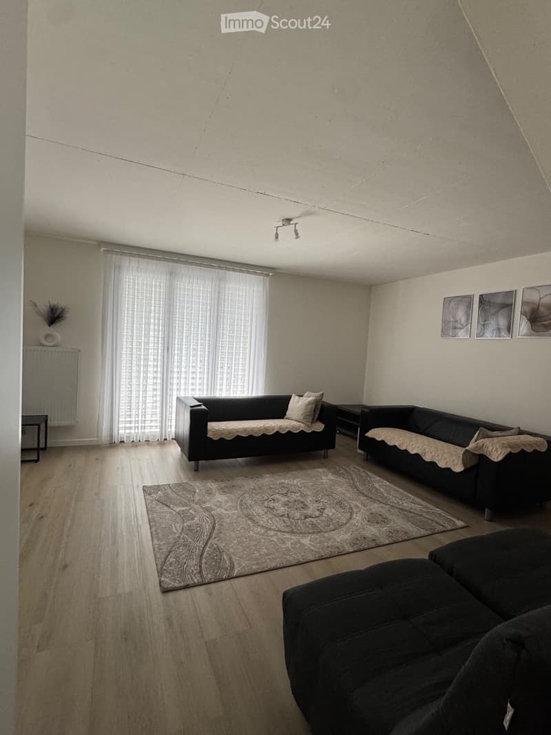 Cerco subentrante subito Appartamento 2 piani Biasca 6710 (1)