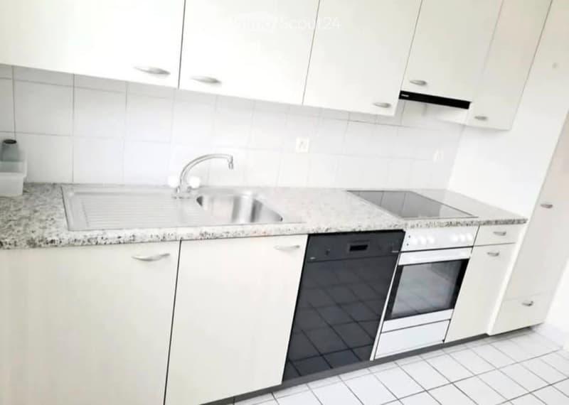 3,5 Zimmer Wohnung mit Kellerraum, Parkplatz-Garage, Balkon (2)