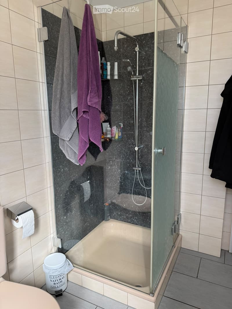 5.5 Zimmer Maisonett Whg (2)