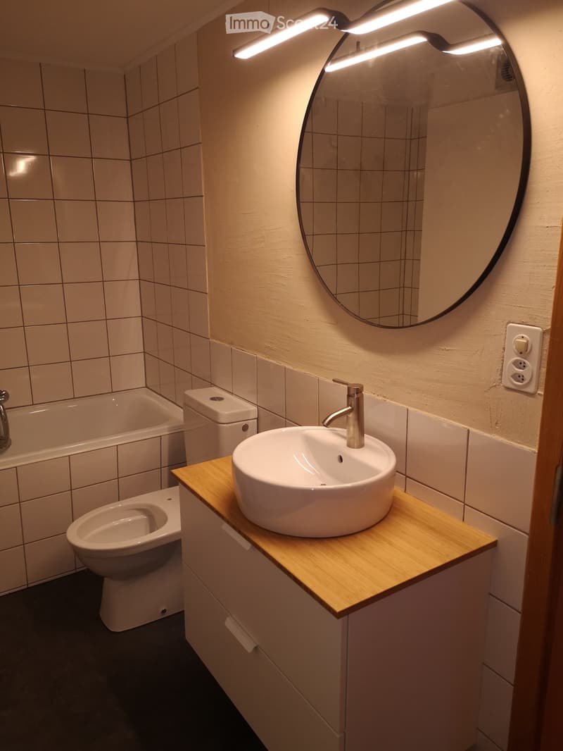 Studio zu vermieten (4)