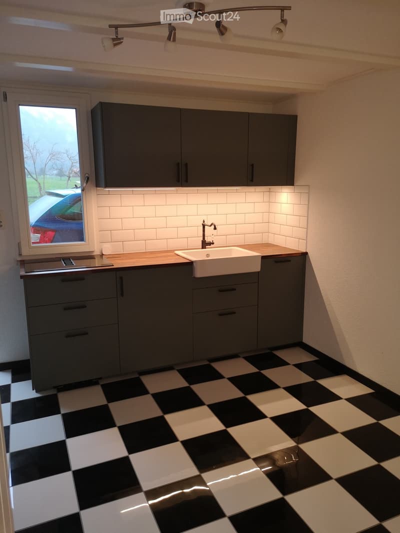 Studio zu vermieten (1)