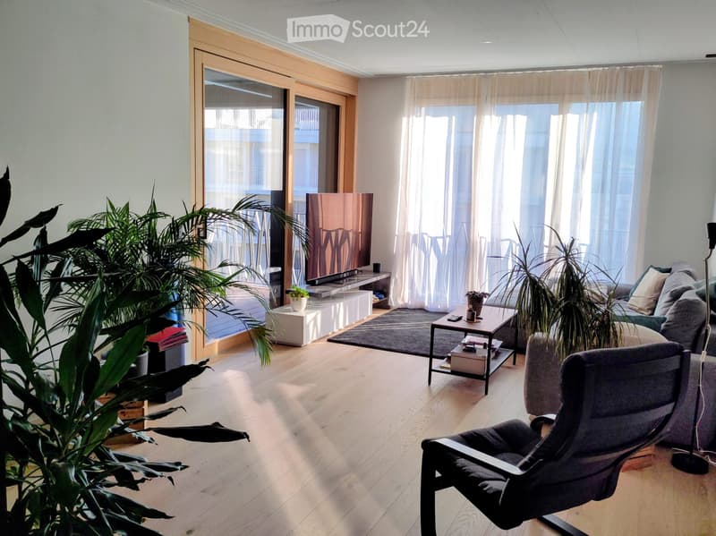 Helle, grosszügige 2,5-Zimmer-Attika-Wohnung (2)