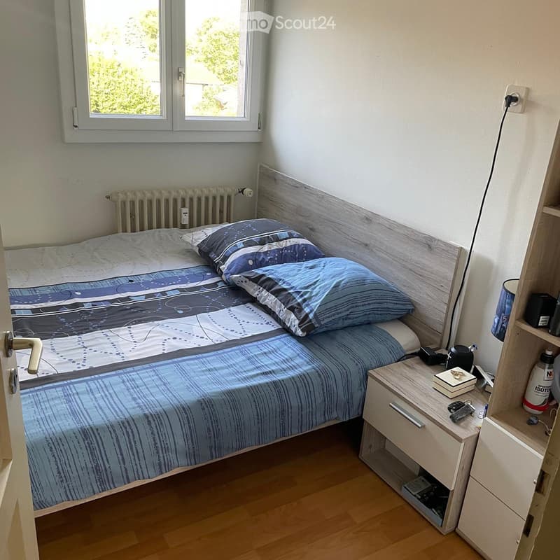 Nachmieter für 3 Zimmer Dach-Wohnung gesucht (2)