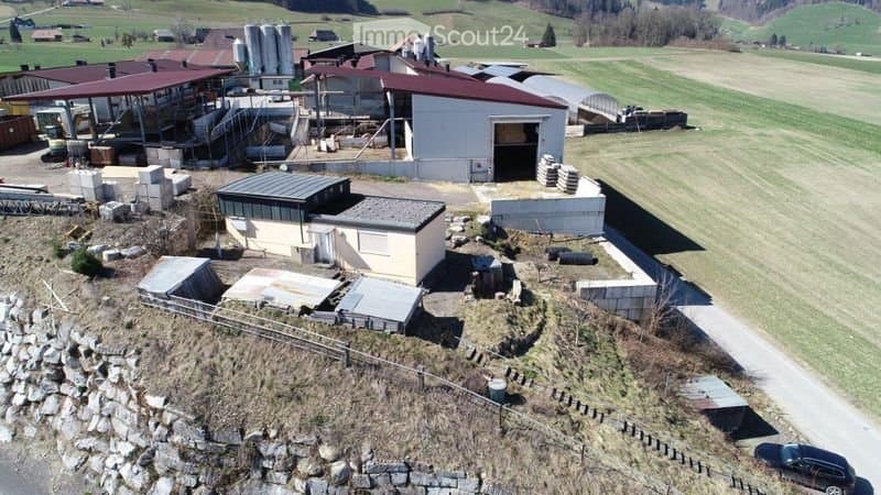 Hundehort mit behördlicher Baubewilligung sucht Nachfolger (4)