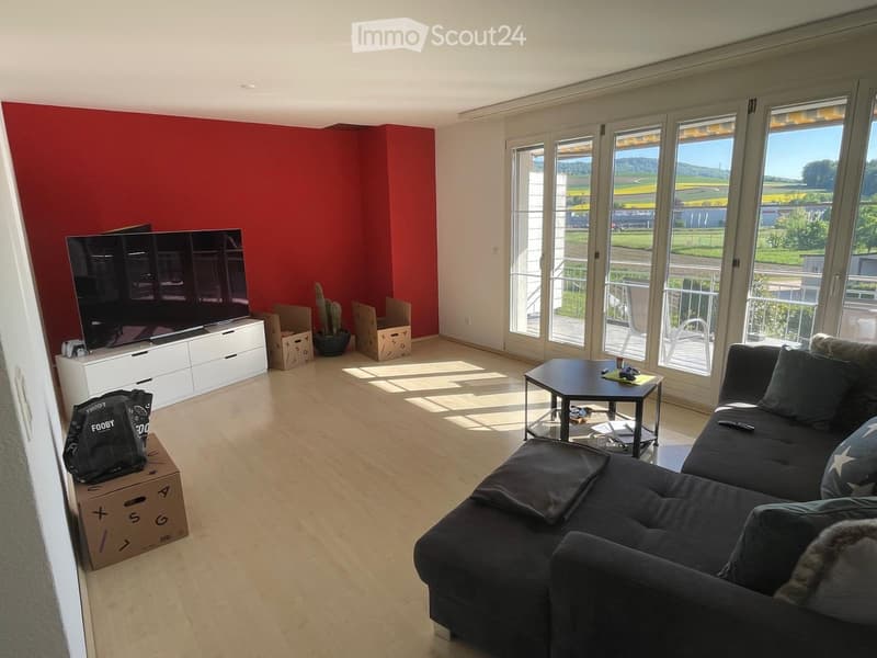 Helle 3,5 Zimmer Wohnung (1)