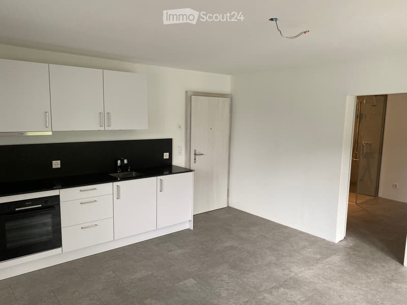 2 Zimmer Wohnung näche ÖV im Grünen (5)