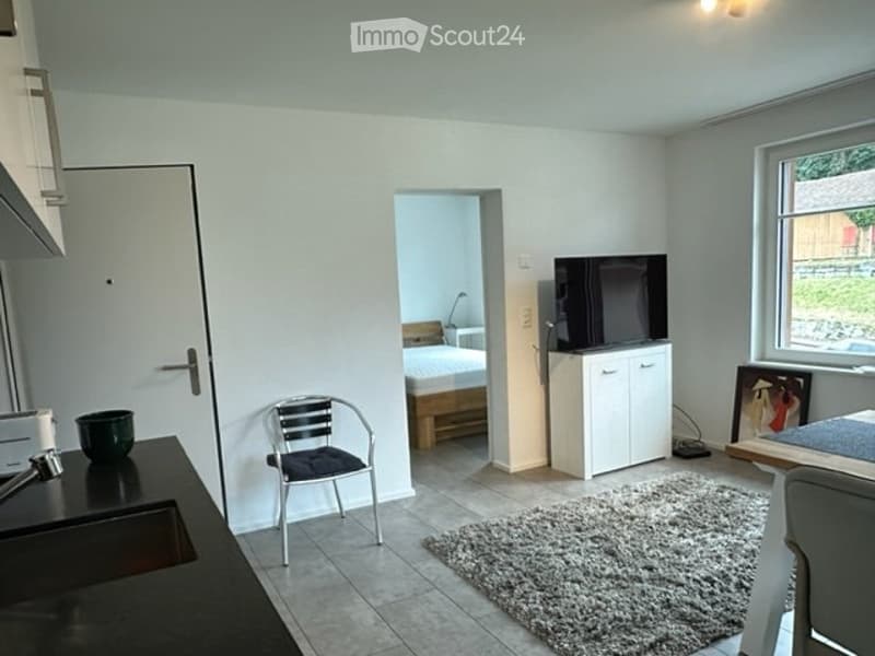 2 Zimmer Wohnung näche ÖV im Grünen (3)