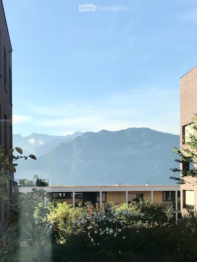 Meggen: Charmante Gartenwohnung sucht Nachmieter (4)