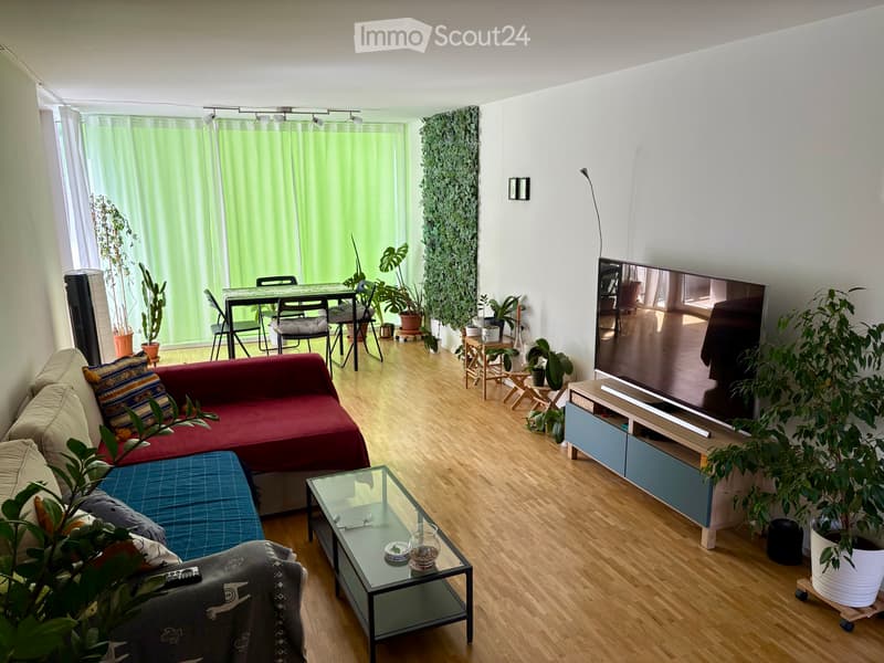 WG Zimmer (3)