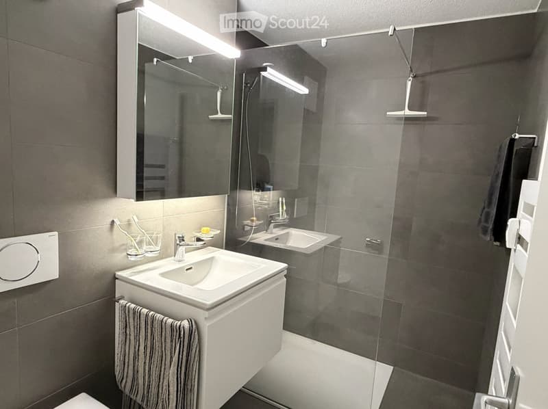 2 Zimmer Wohnung Thun (2)