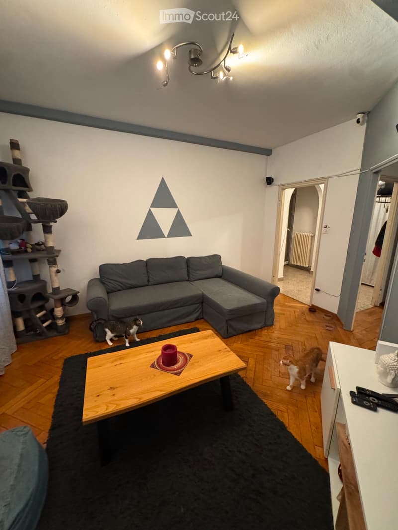 Affittasi spazioso 4.5 locali (1)