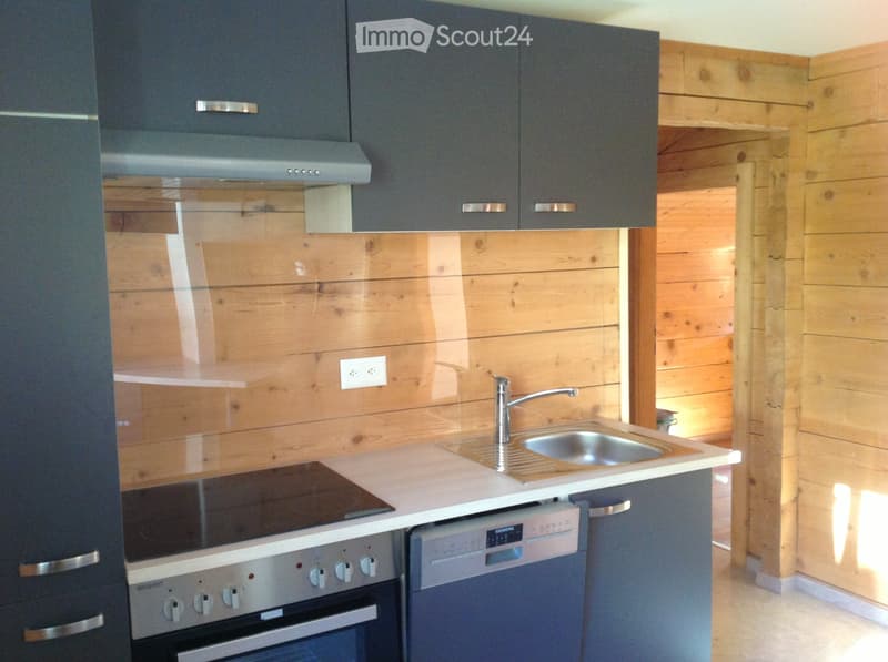 2.5 Zim. Dachwohnung in Disentis (2)