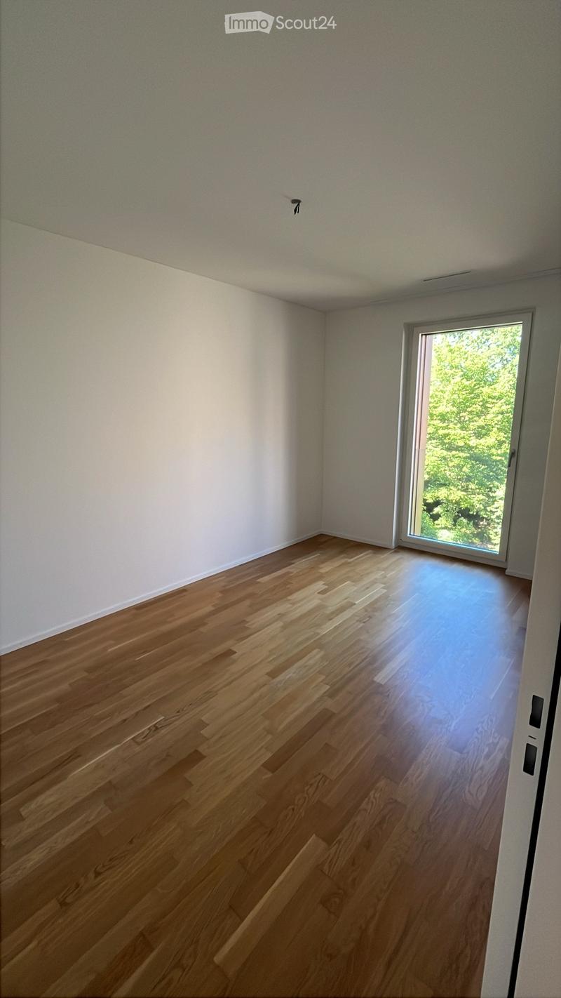 3,5 Zimmer Wohnung ab 01.02.27 (5)