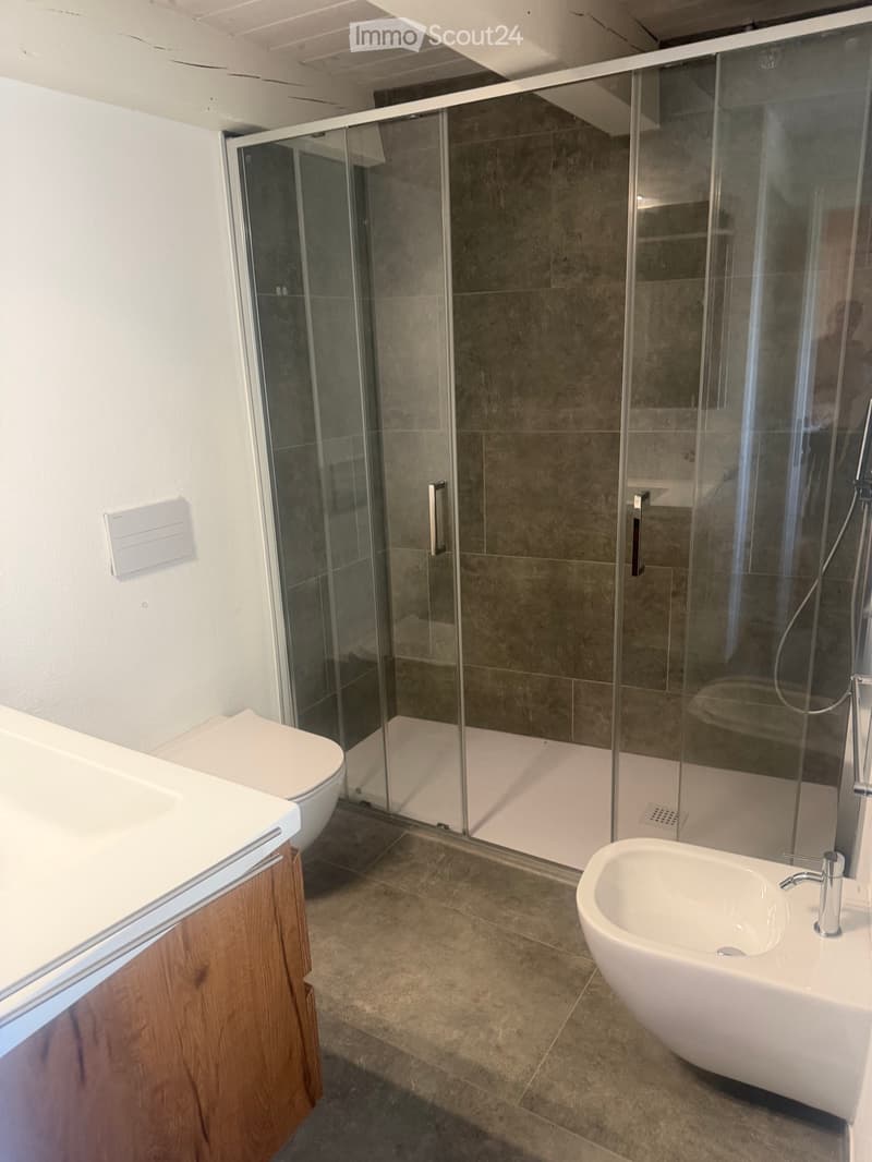 Affittasi appartamento in casa di proprietà (5)