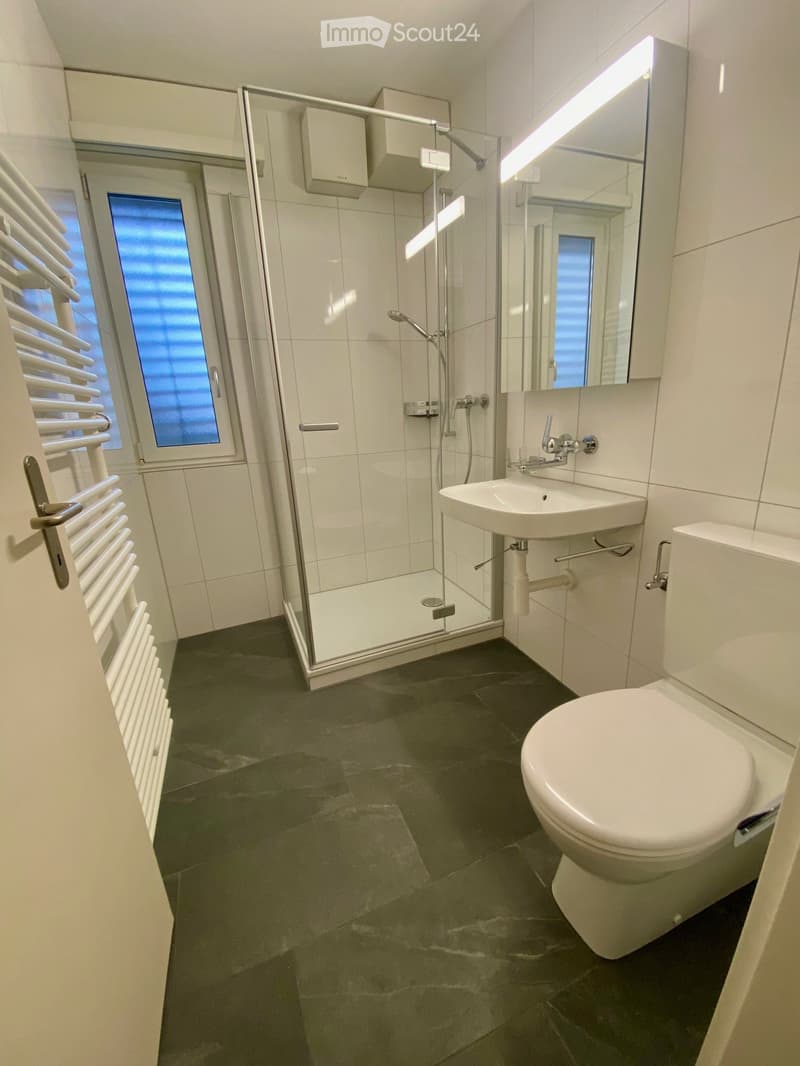 Sonnige, zentrale 3-Zimmer-Wohnung Wilerstr. 69, Flawil (1)